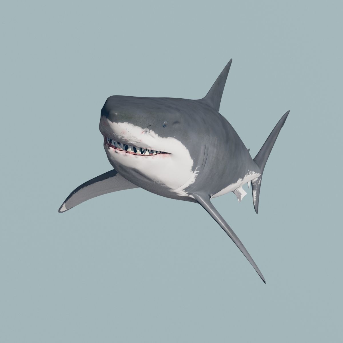 8K Marine Pack - fully animated 3D model_114