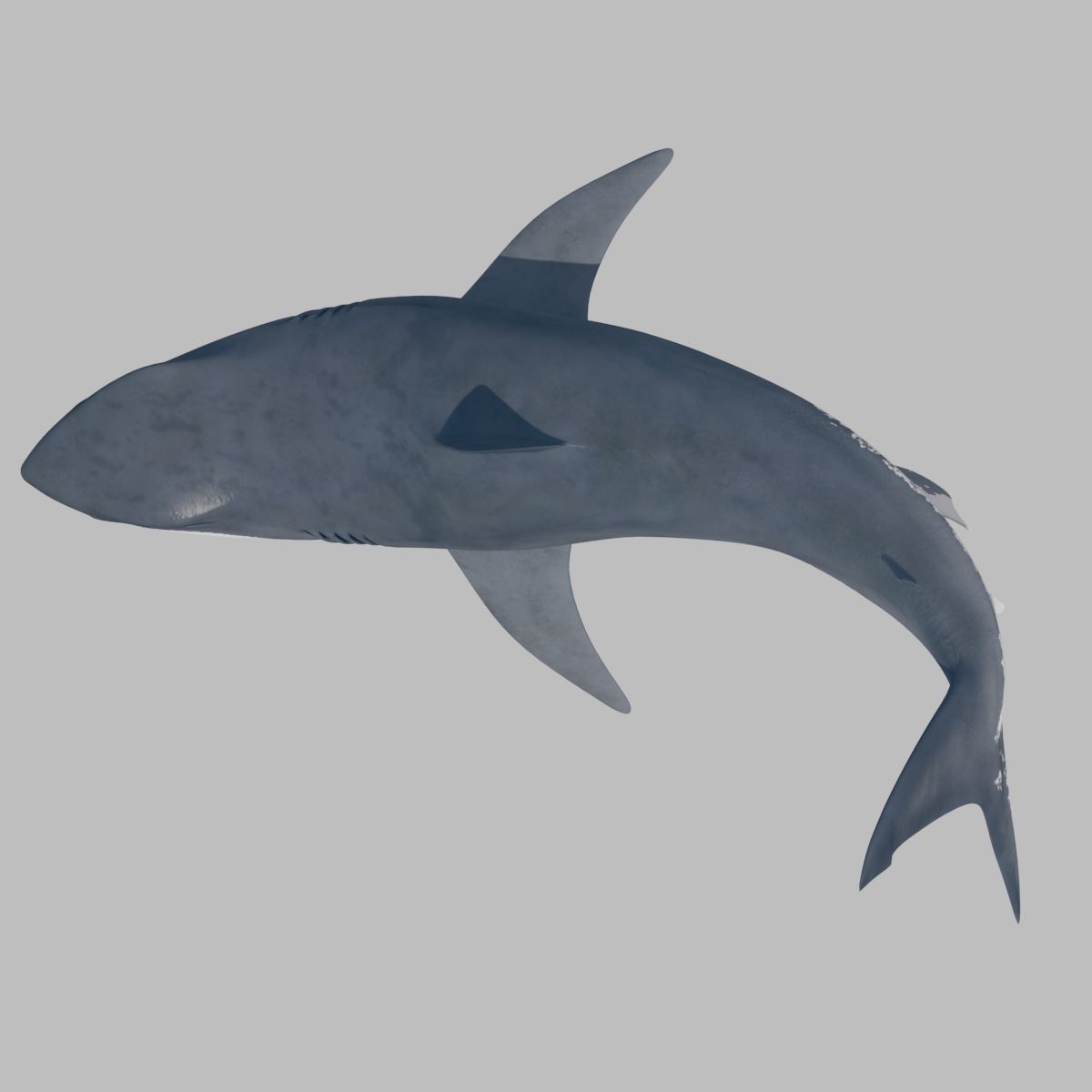 8K Marine Pack - fully animated 3D model_83