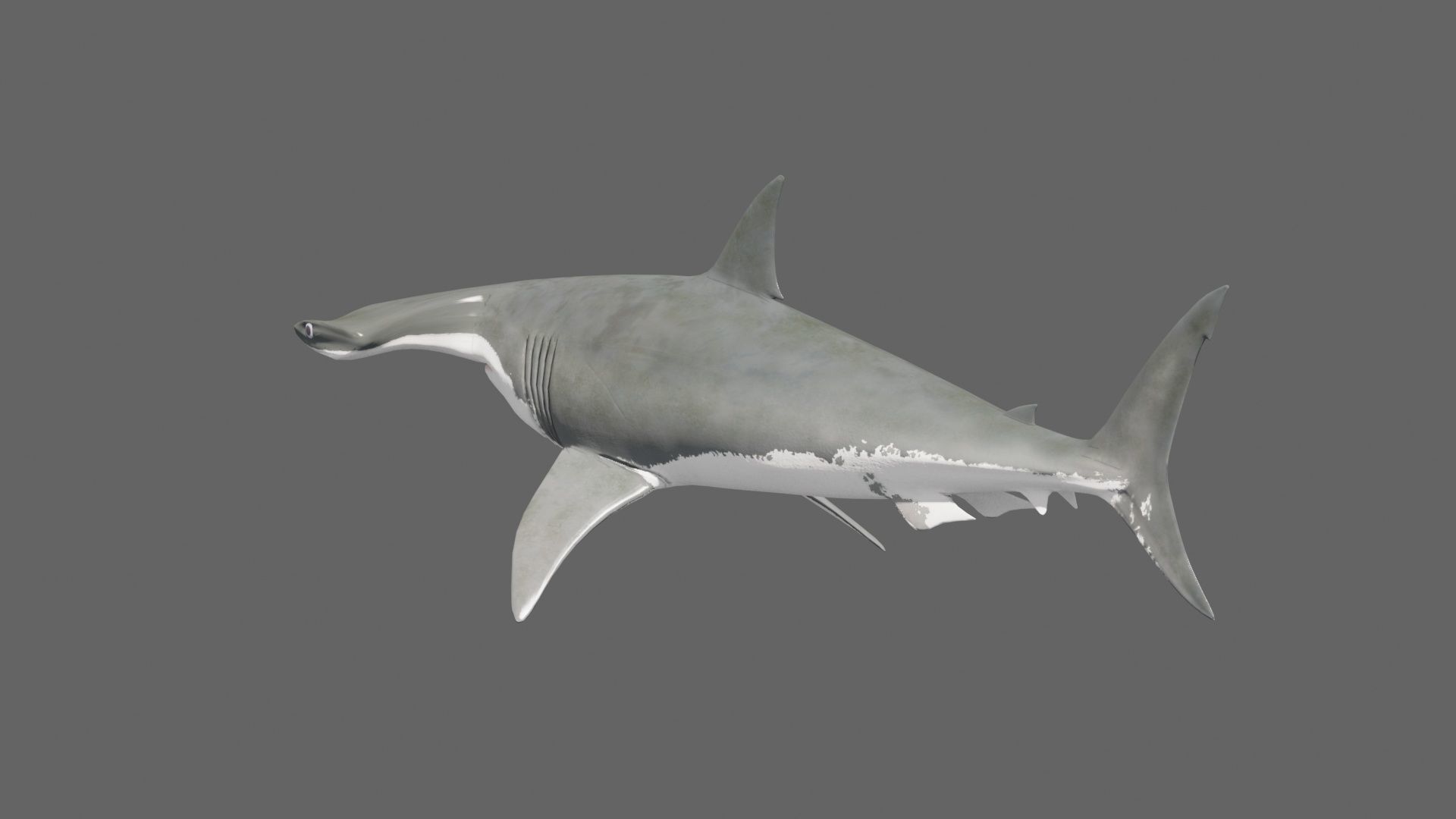 8K Marine Pack - fully animated 3D model_141