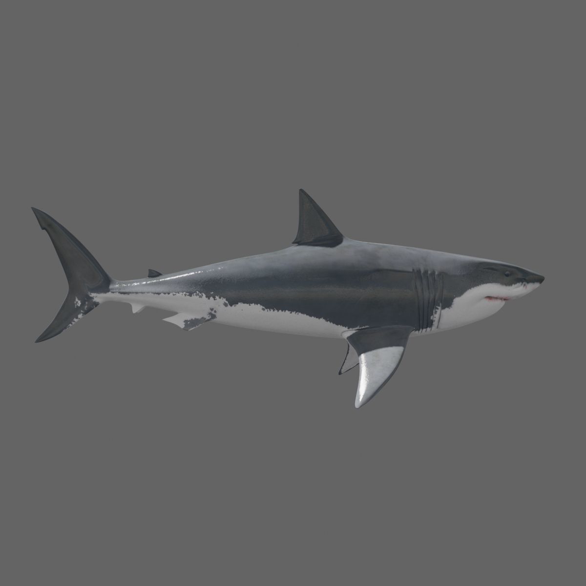 8K Marine Pack - fully animated 3D model_54