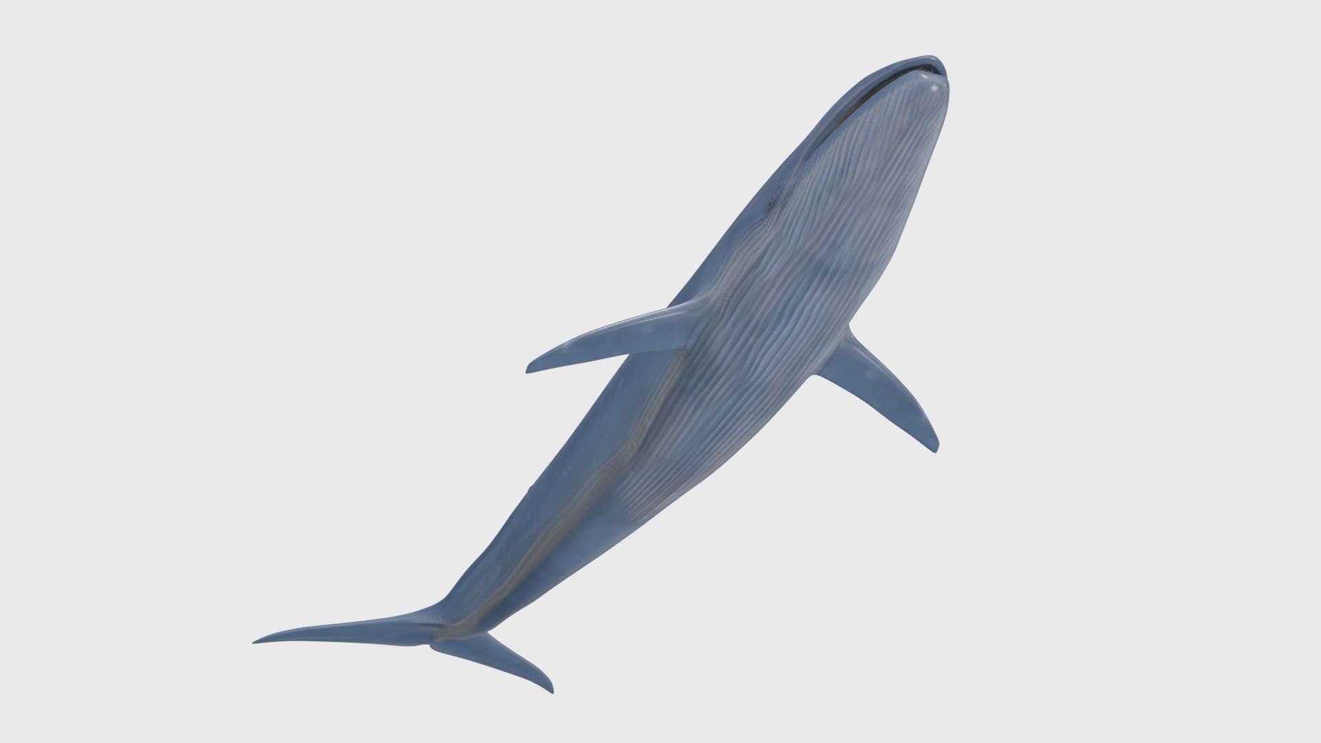 8K Marine Pack - fully animated 3D model_93