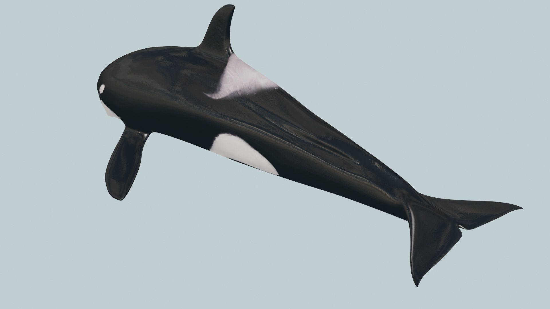 8K Marine Pack - fully animated 3D model_142