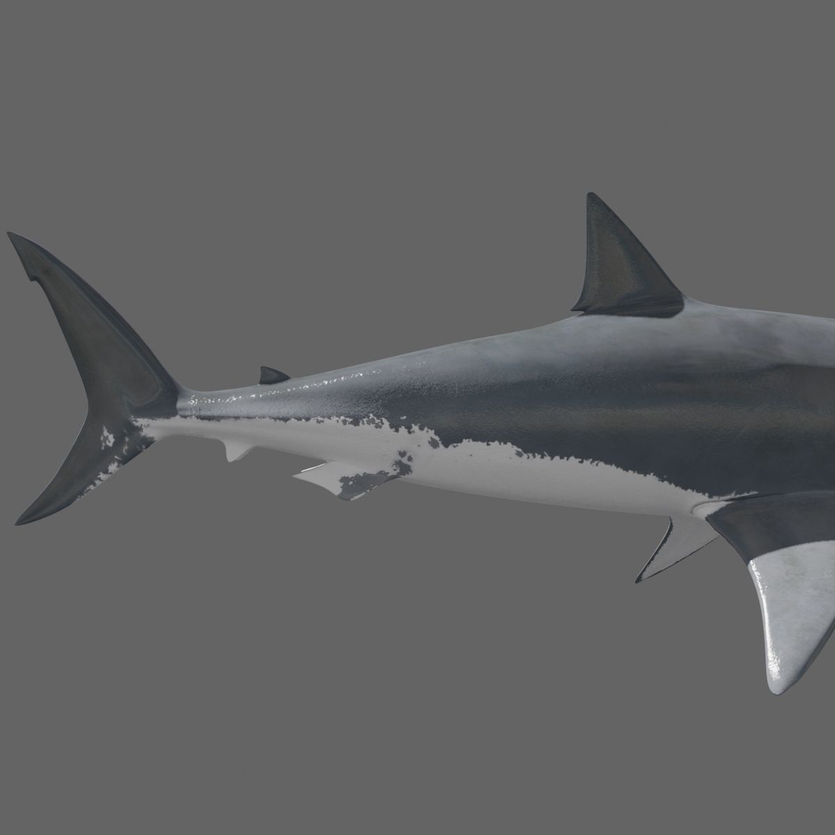 8K Marine Pack - fully animated 3D model_60