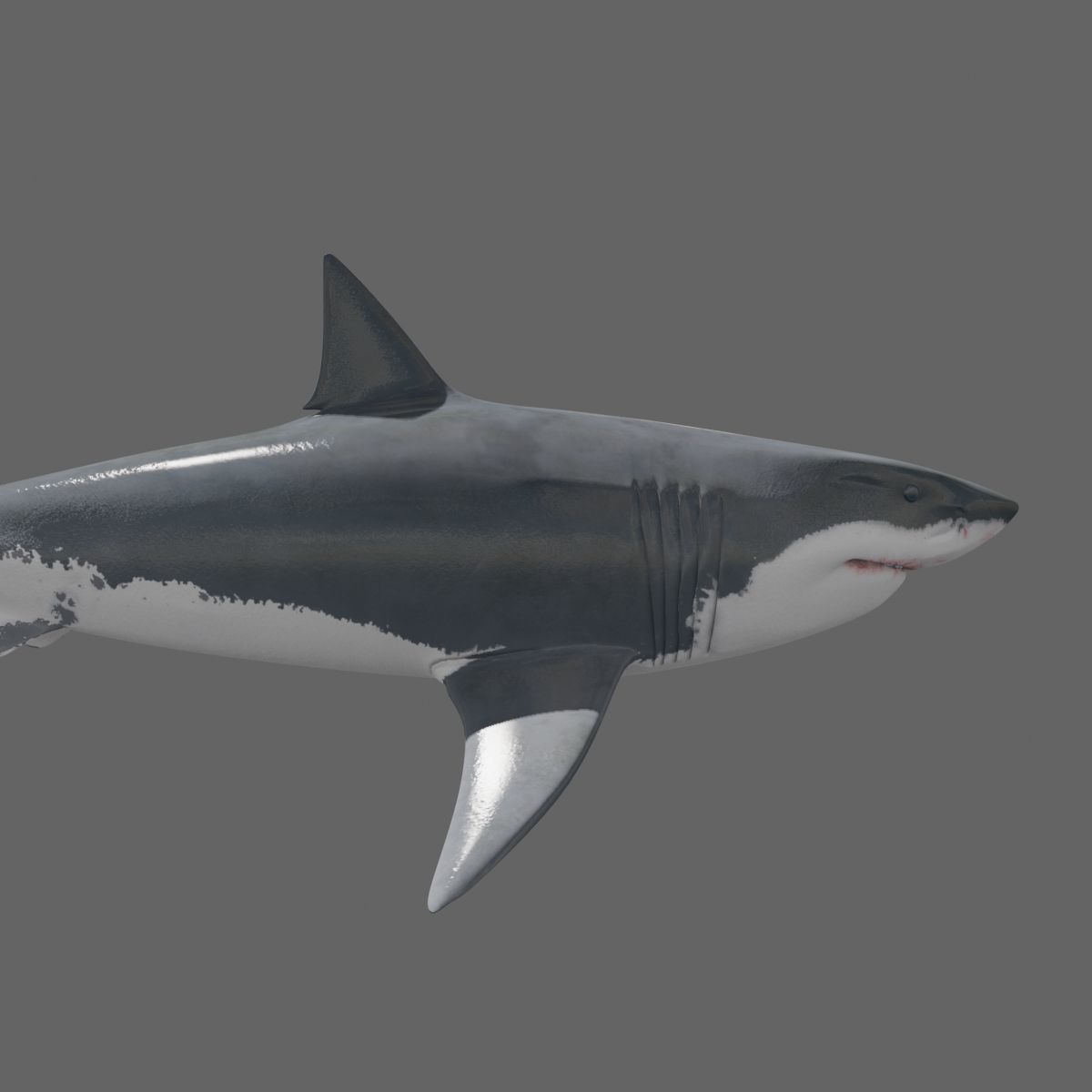 8K Marine Pack - fully animated 3D model_66