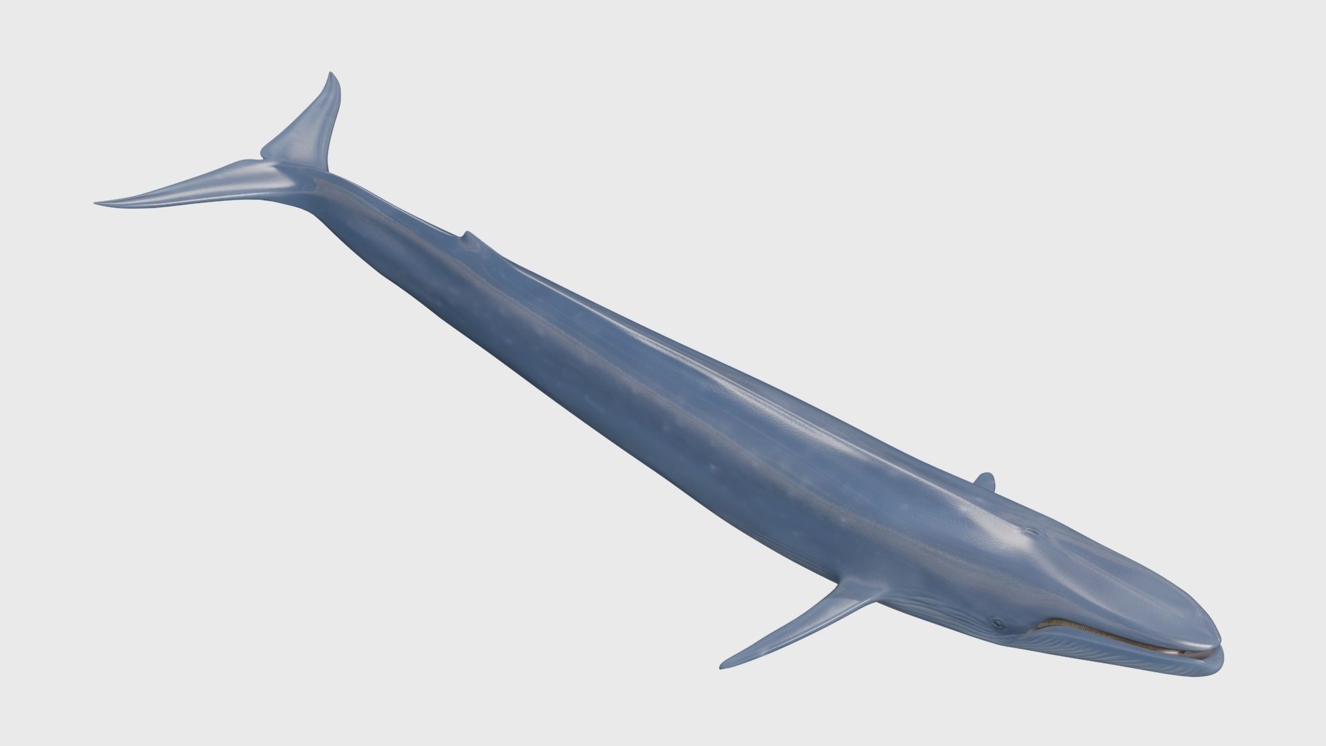 8K Marine Pack - fully animated 3D model_101