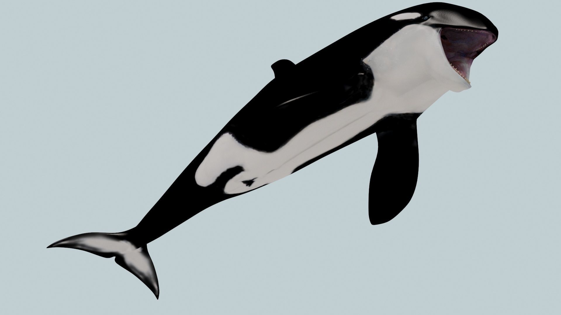 8K Marine Pack - fully animated 3D model_157