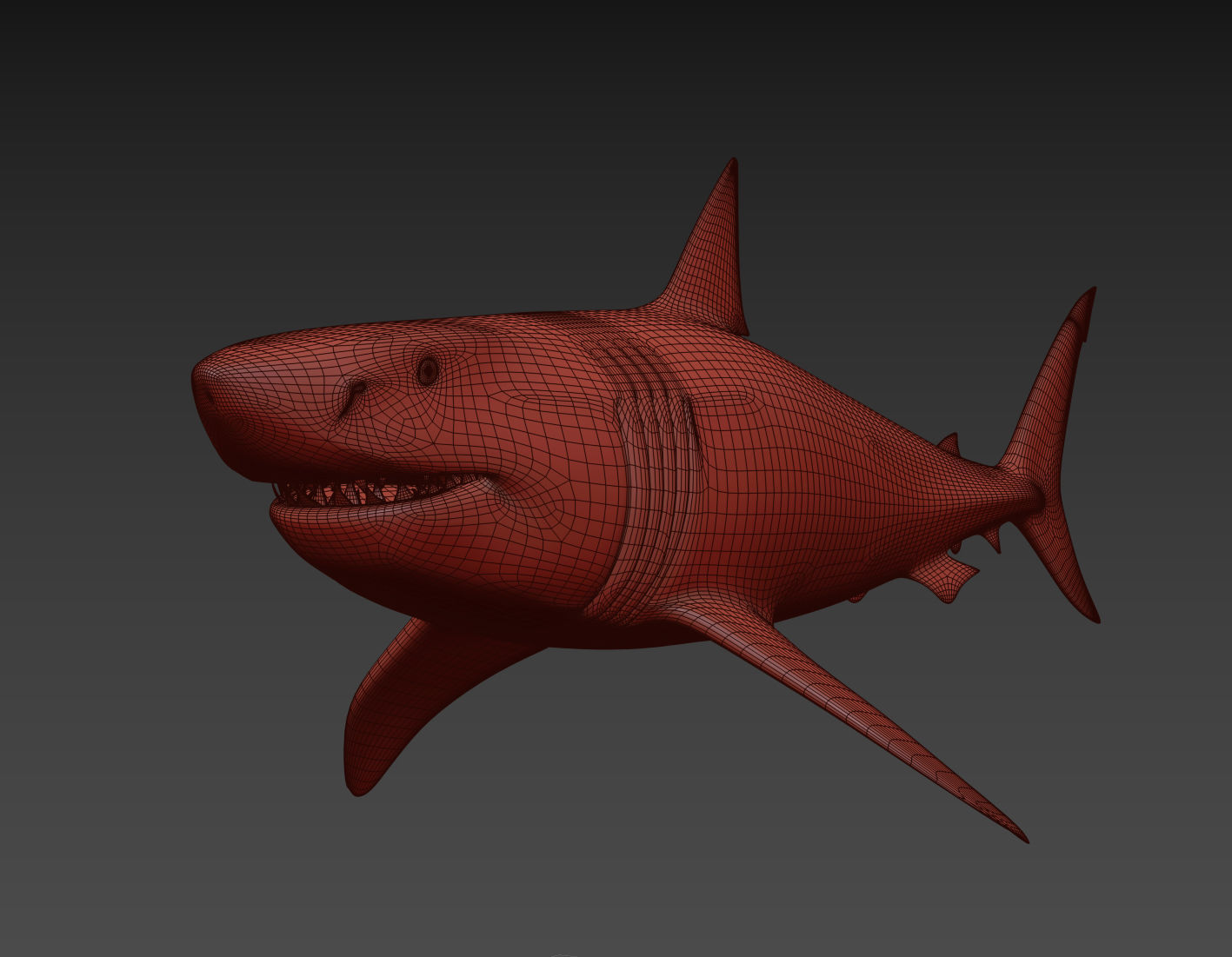 8K Marine Pack - fully animated 3D model_125