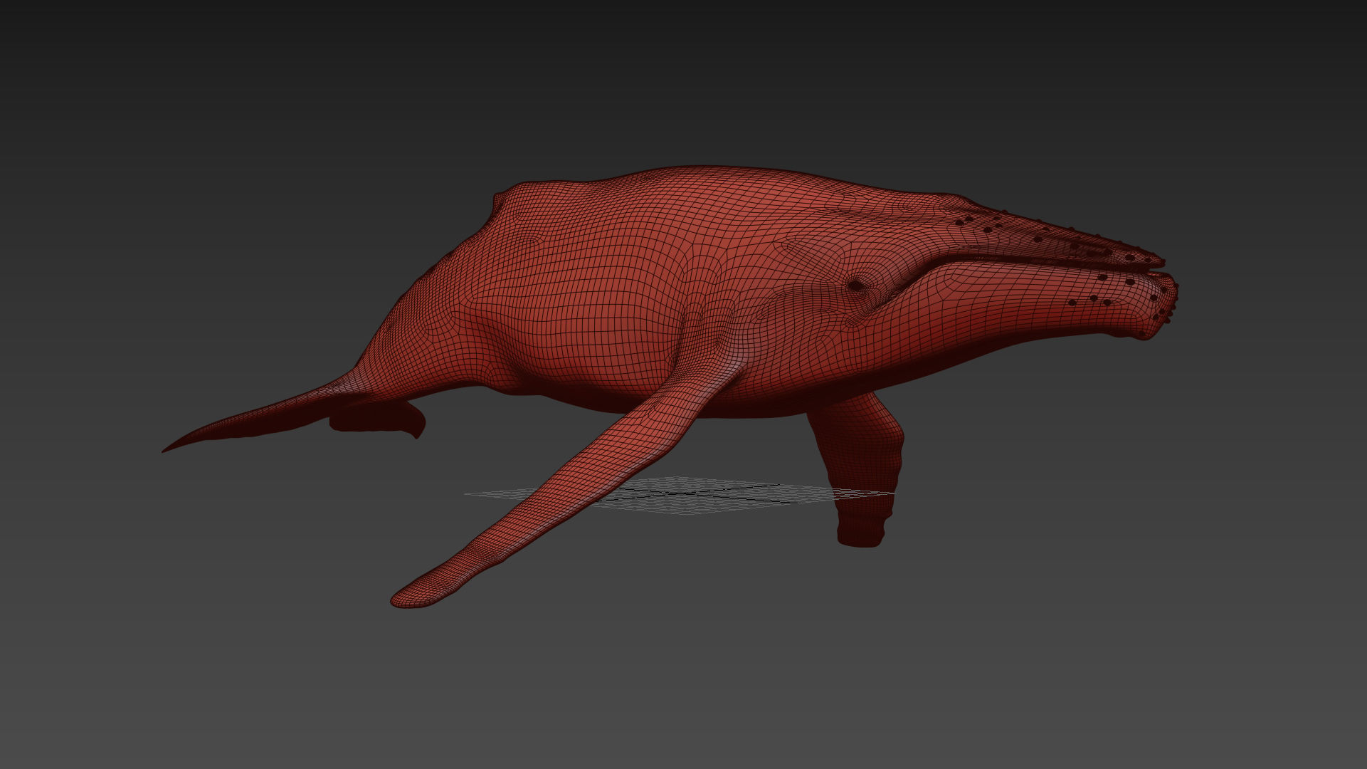 8K Marine Pack - fully animated 3D model_80