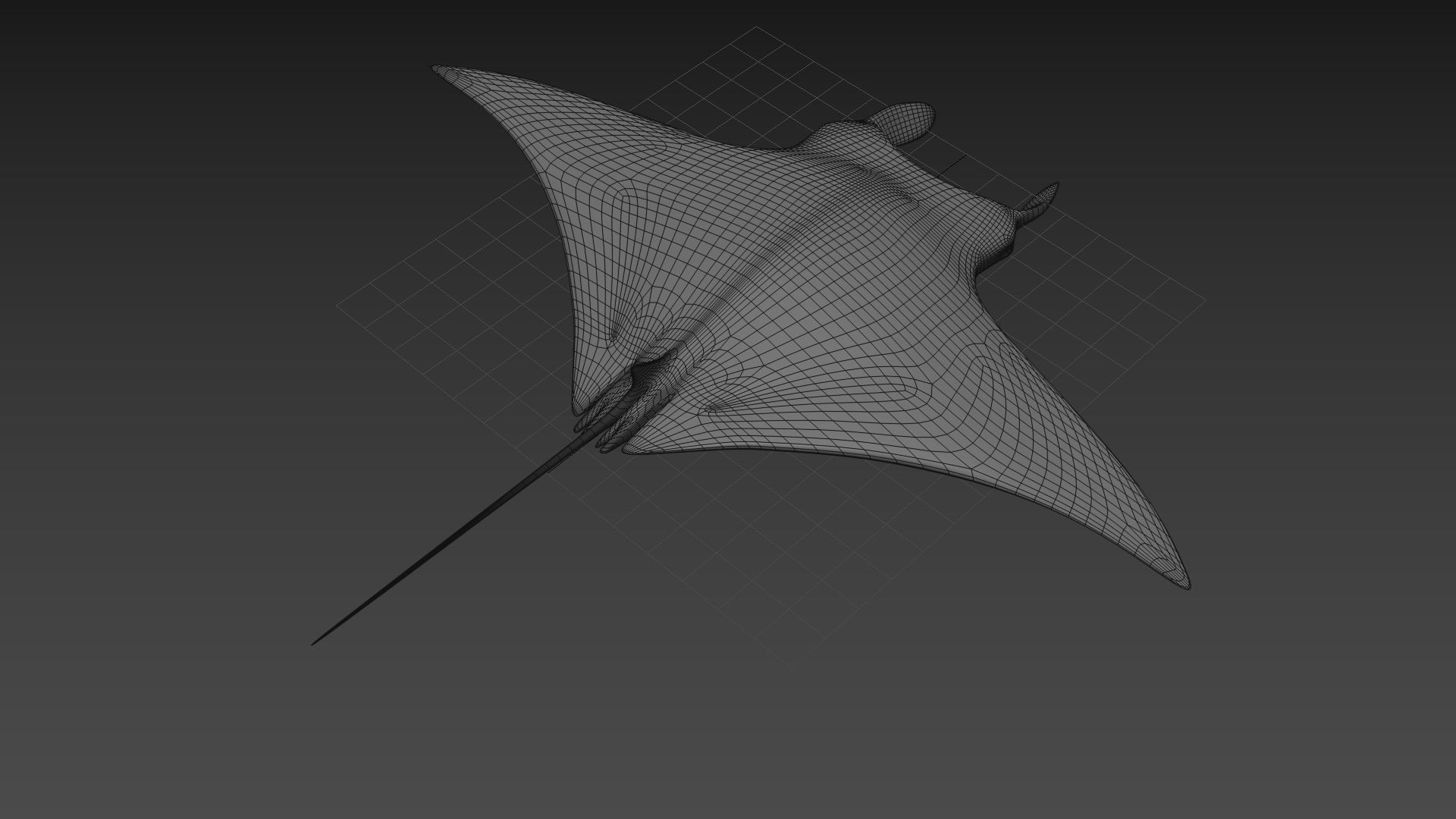 8K Marine Pack - fully animated 3D model_91