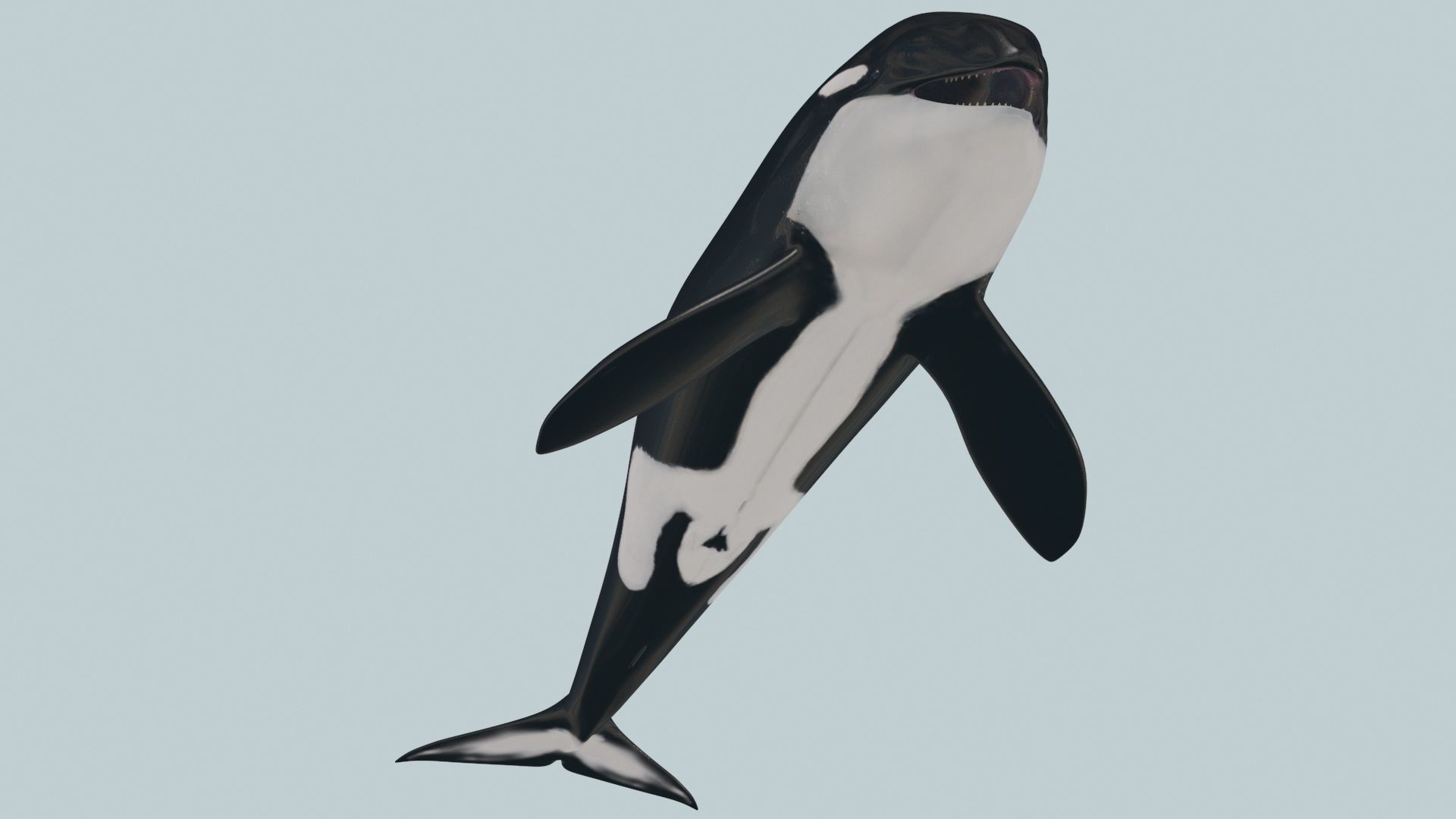 8K Marine Pack - fully animated 3D model_132