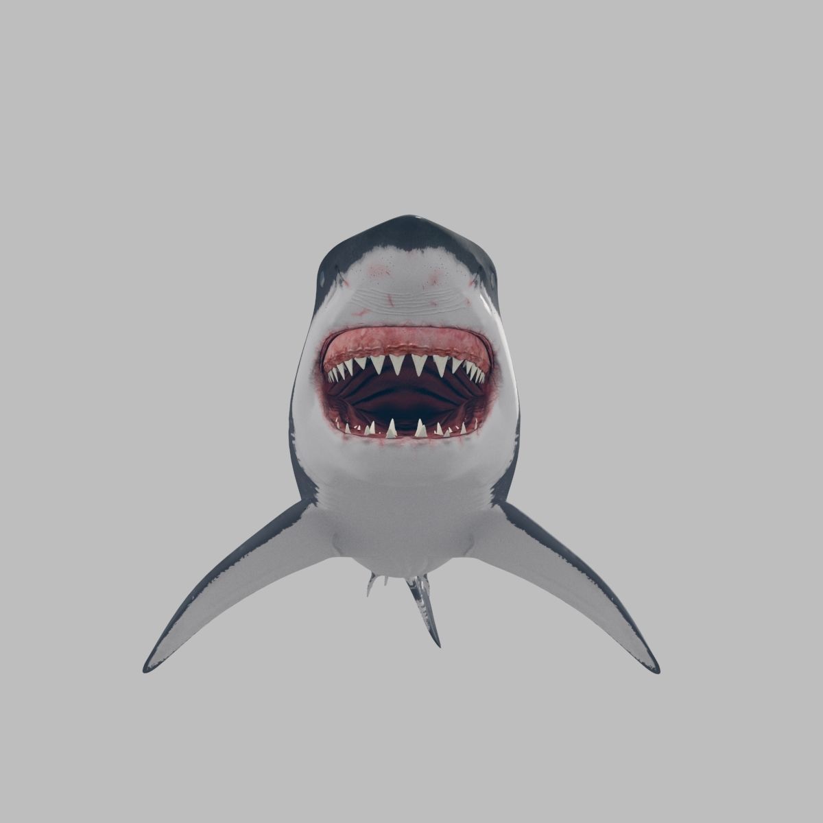 8K Marine Pack - fully animated 3D model_158