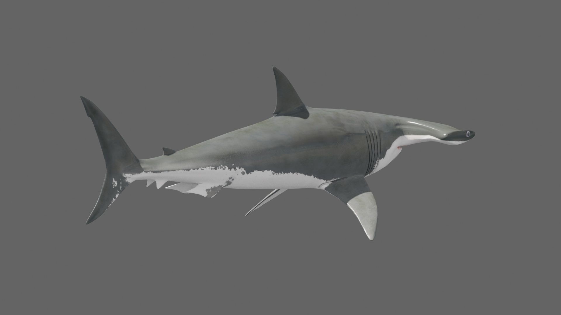 8K Marine Pack - fully animated 3D model_146