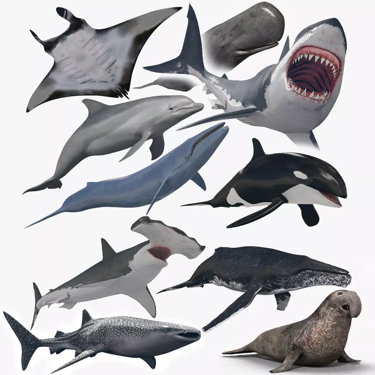 8K Marine Pack - fully animated 3D model_0