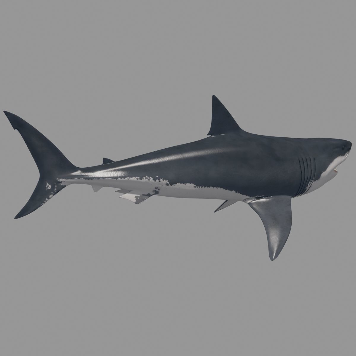 8K Marine Pack - fully animated 3D model_96