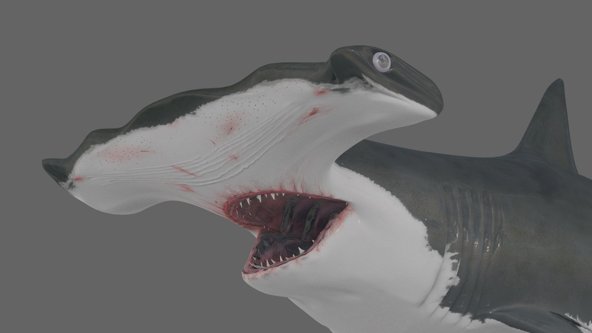 8K Marine Pack - fully animated 3D model_46