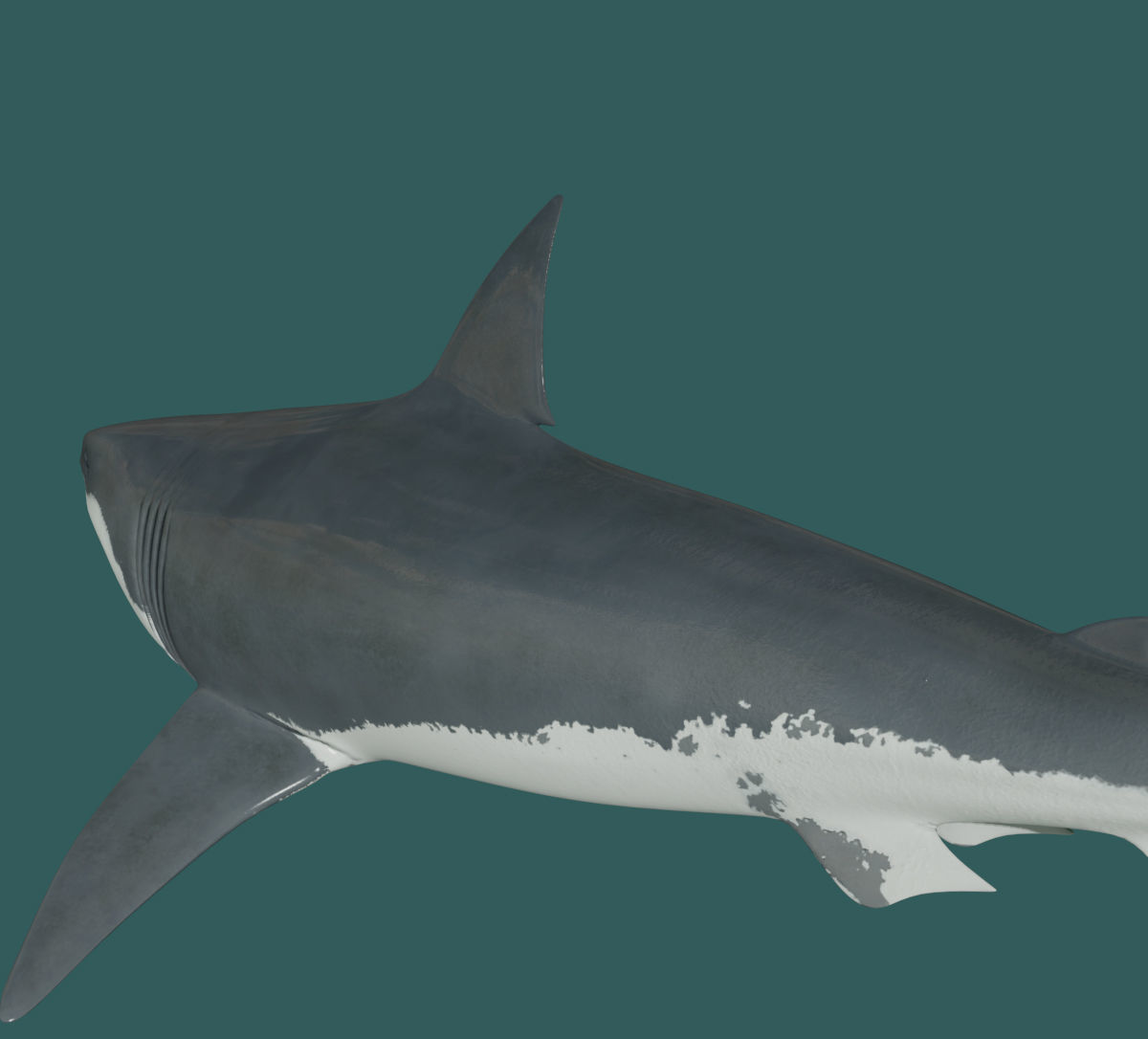 8K Marine Pack - fully animated 3D model_78