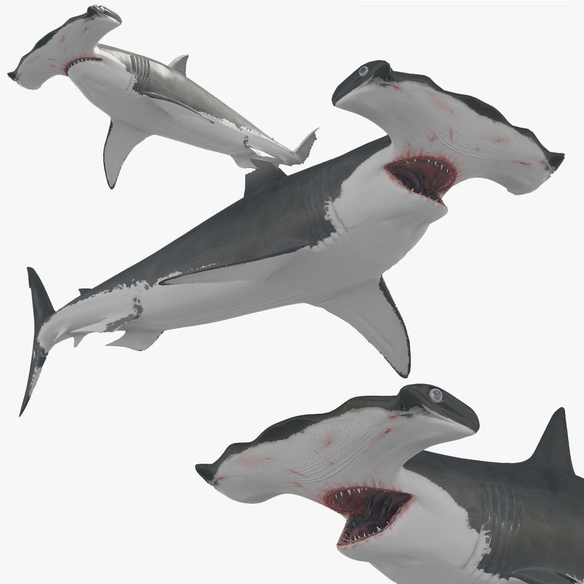 8K Marine Pack - fully animated 3D model_41