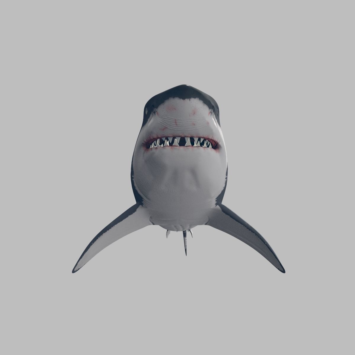 8K Marine Pack - fully animated 3D model_107