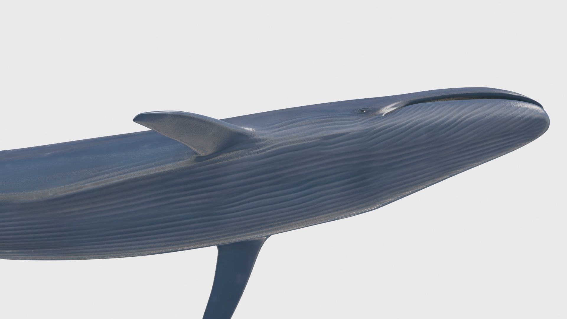 8K Marine Pack - fully animated 3D model_84