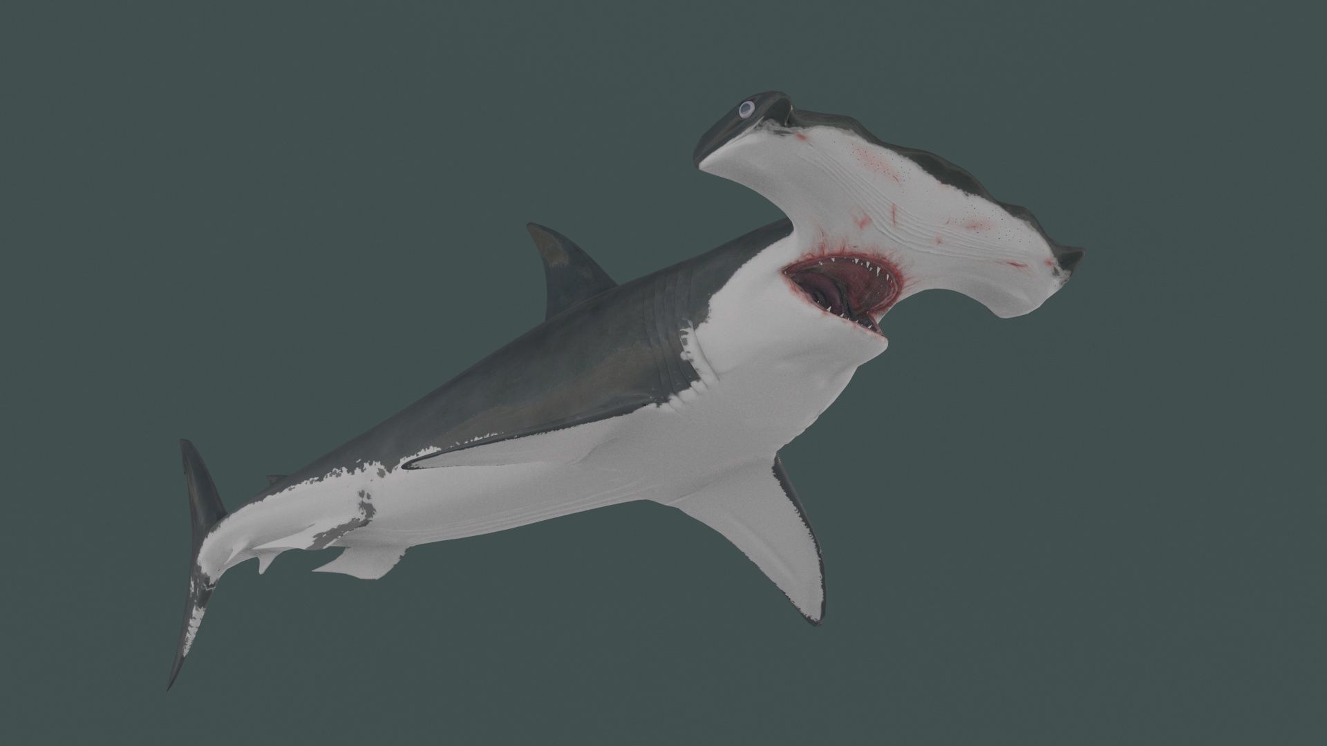 8K Marine Pack - fully animated 3D model_156