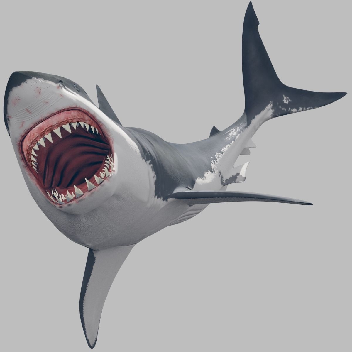 8K Marine Pack - fully animated 3D model_34