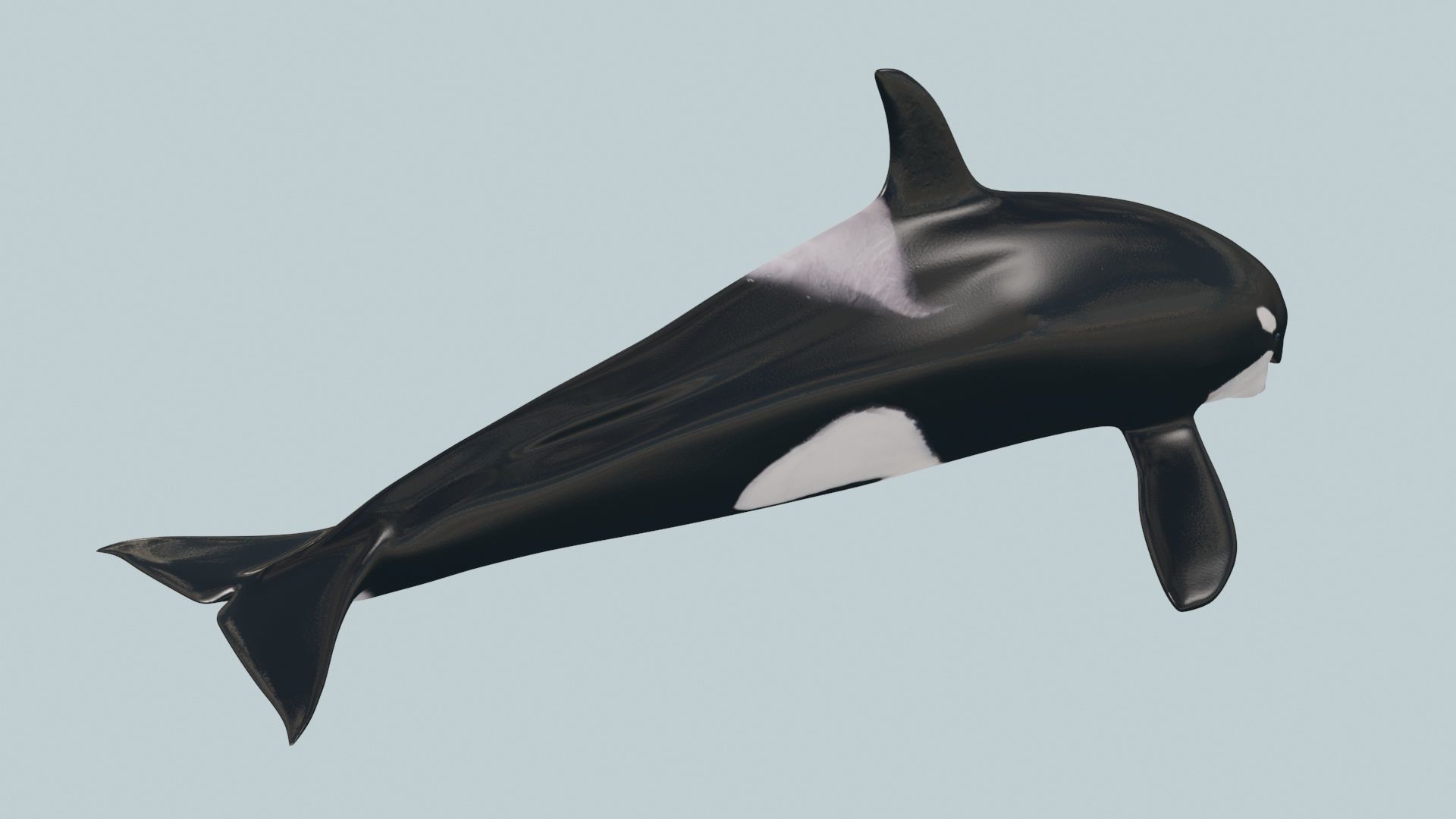 8K Marine Pack - fully animated 3D model_137