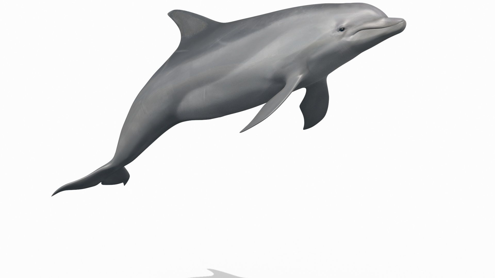 8K Marine Pack - fully animated 3D model_164