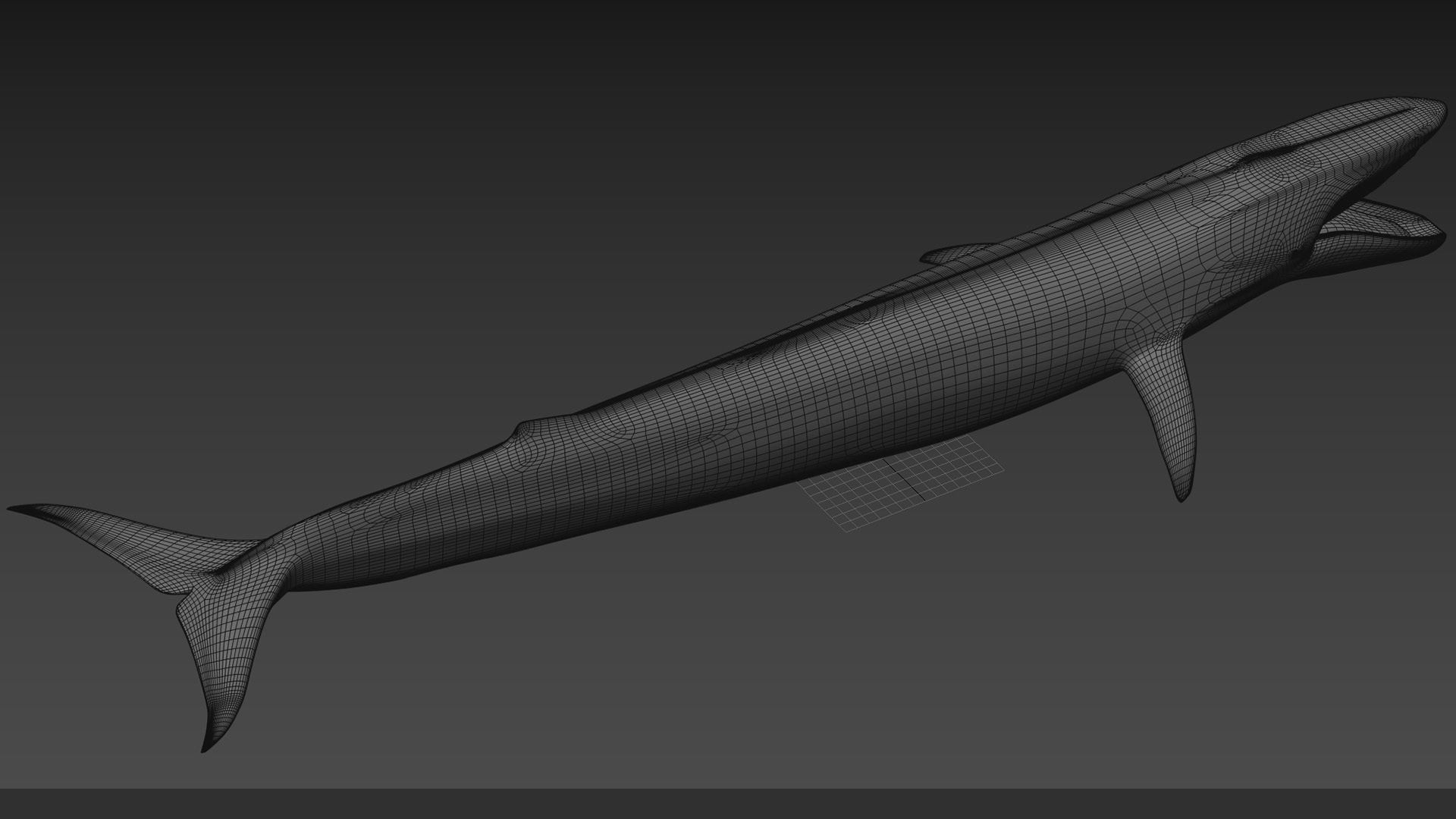 8K Marine Pack - fully animated 3D model_111