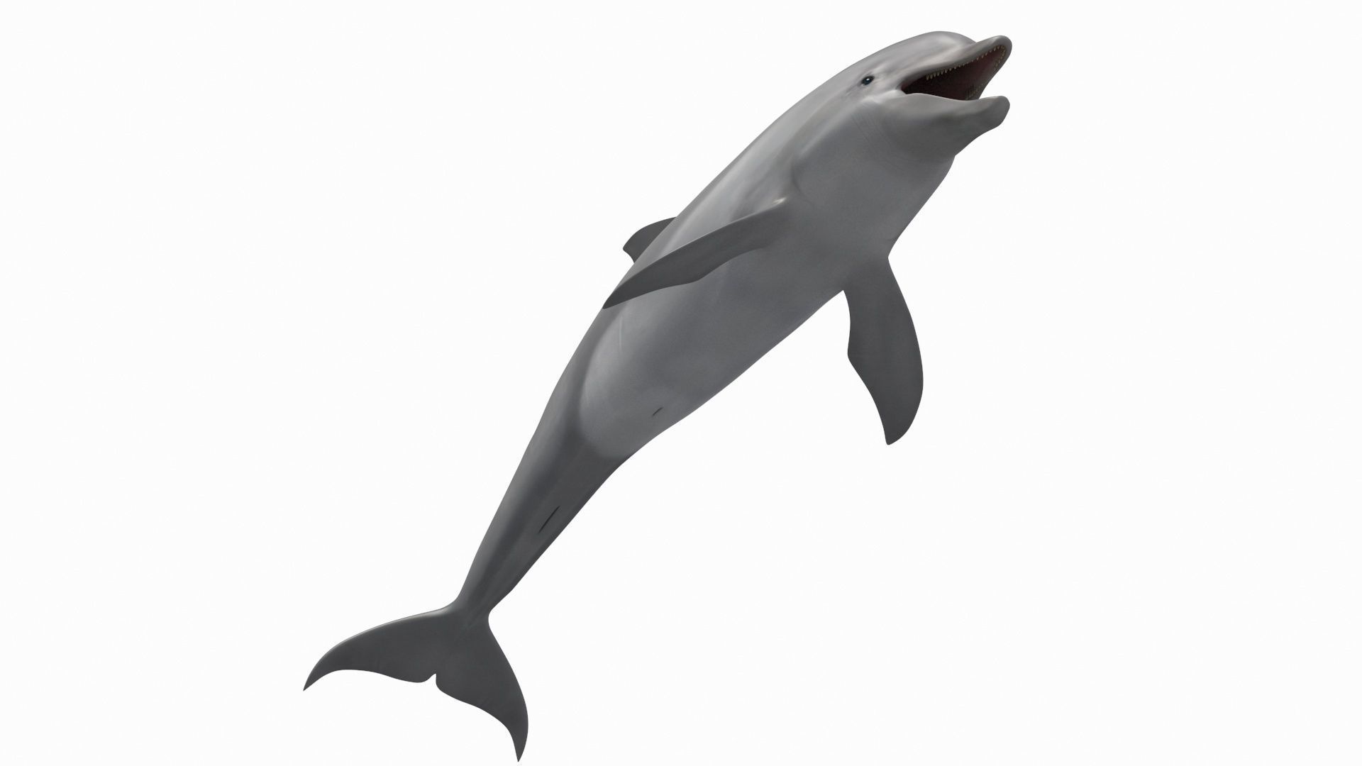 8K Marine Pack - fully animated 3D model_169