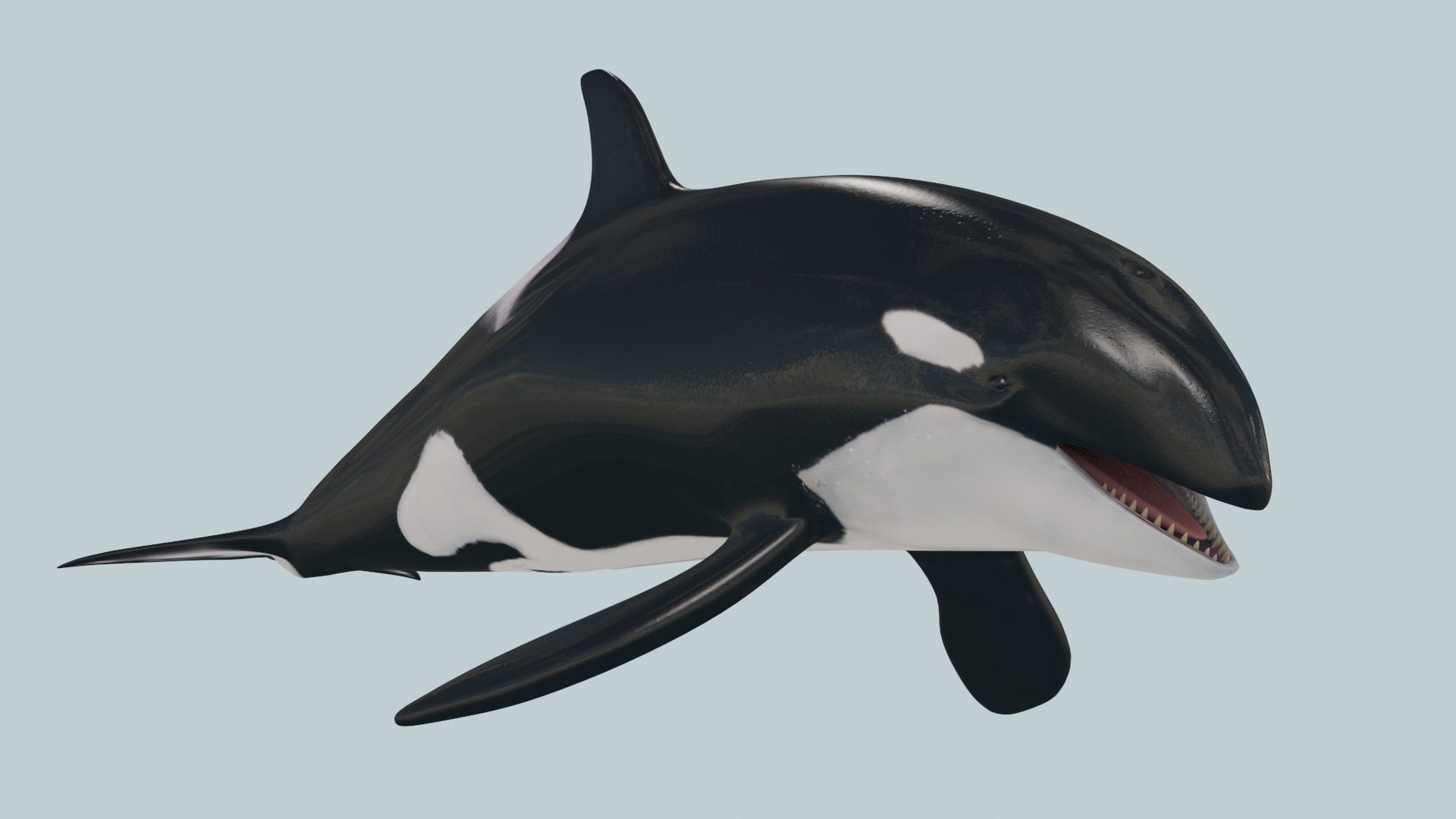 8K Marine Pack - fully animated 3D model_123