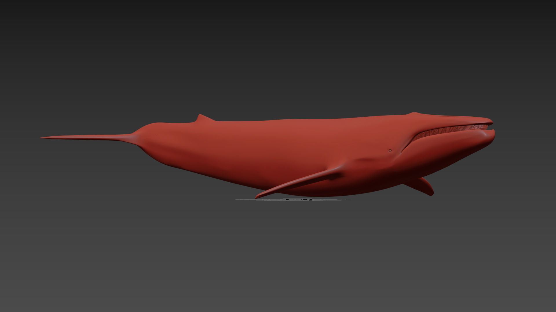 8K Marine Pack - fully animated 3D model_97