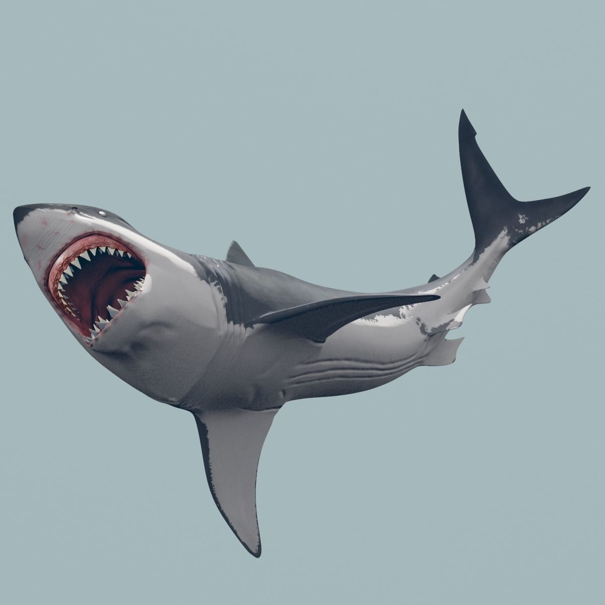 8K Marine Pack - fully animated 3D model_112