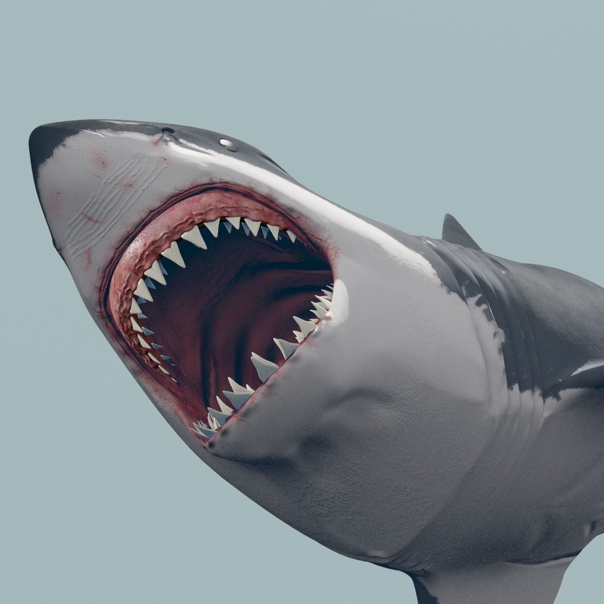 8K Marine Pack - fully animated 3D model_117