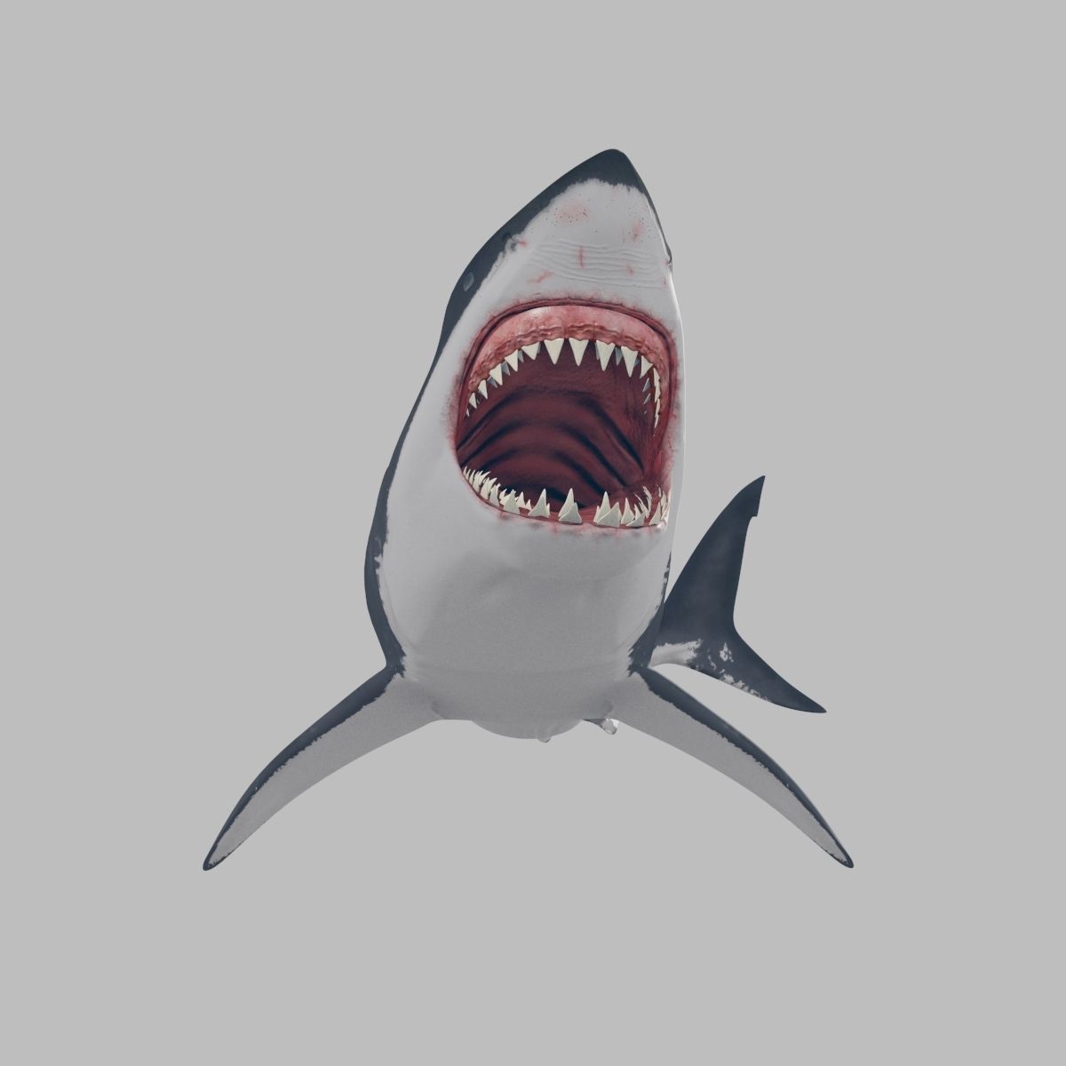 8K Marine Pack - fully animated 3D model_85