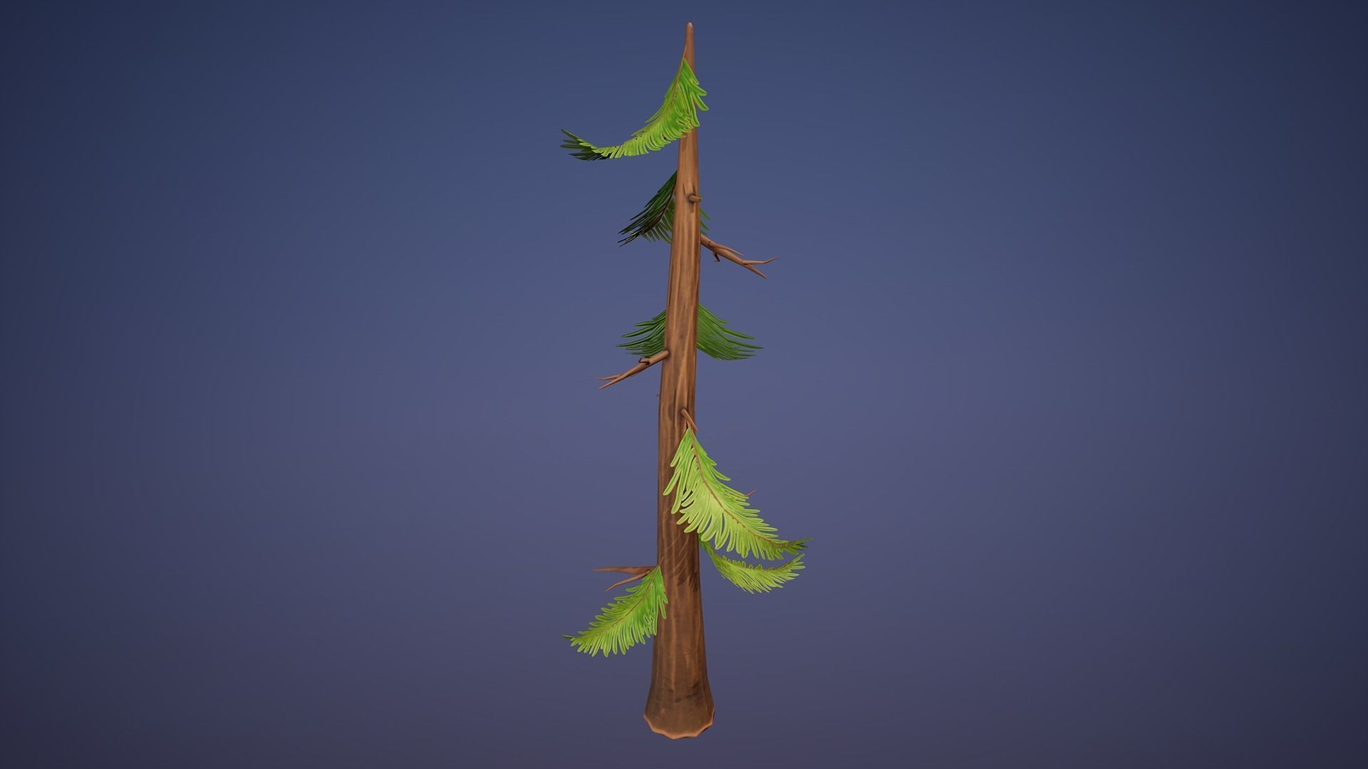Stylized Pine Trees Collection Low-poly 3D model_3