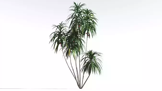 EVERYPlant Scrub Breadfruit LowPoly 3 --18 Models-- Low-poly 3D model