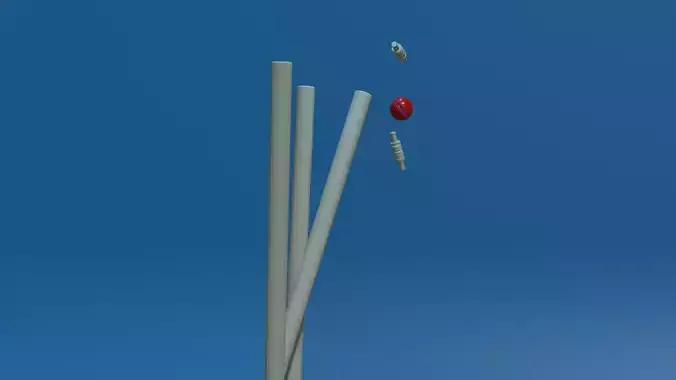 cricket wickets made in blender 