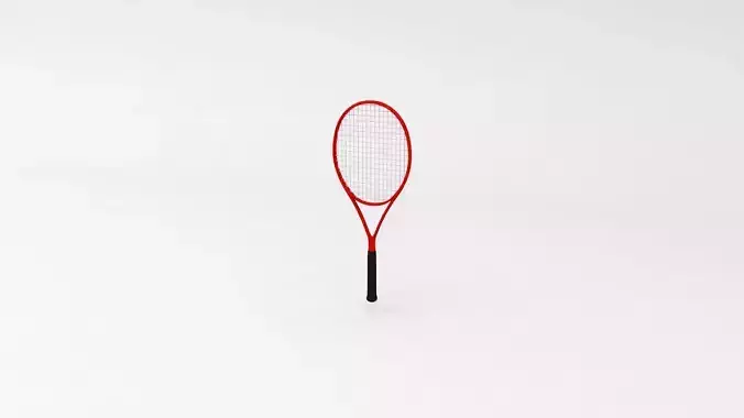 Raqueta racket