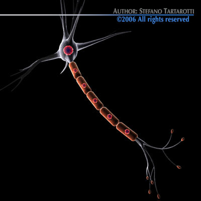 Neuron cell 3D model_1