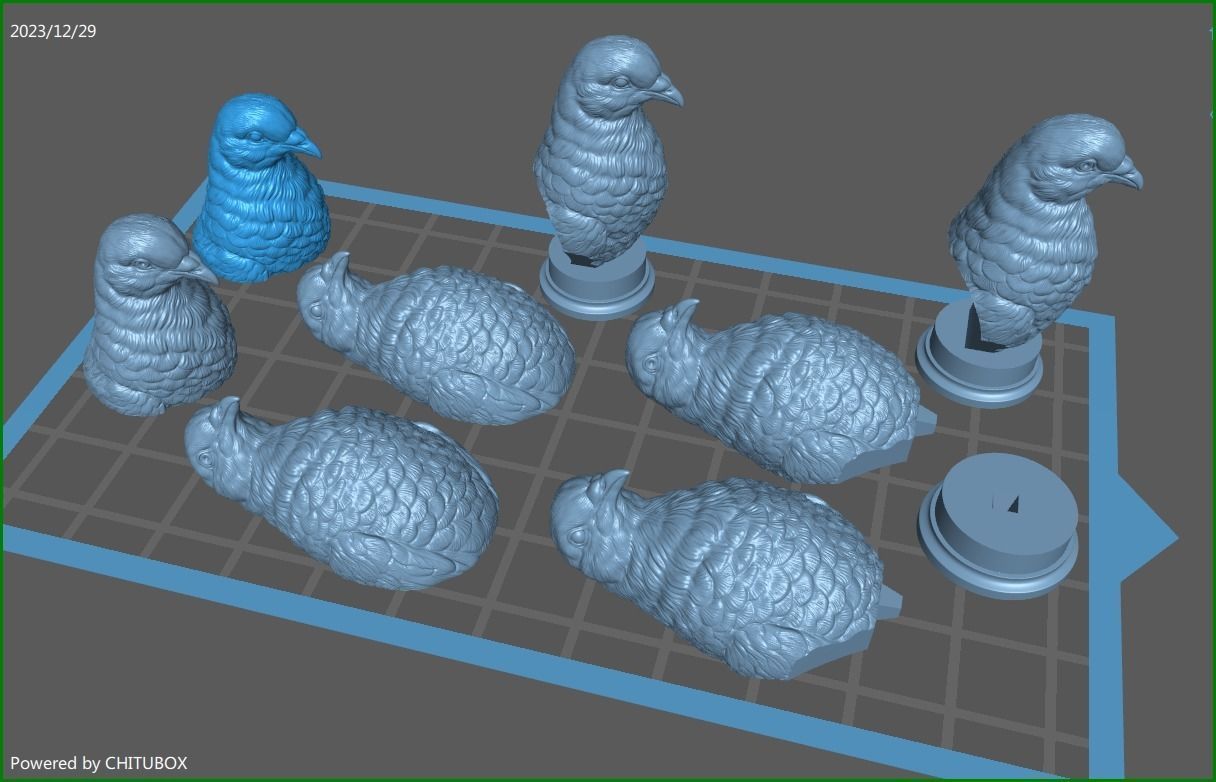 Pigeon bust 3D print model_22