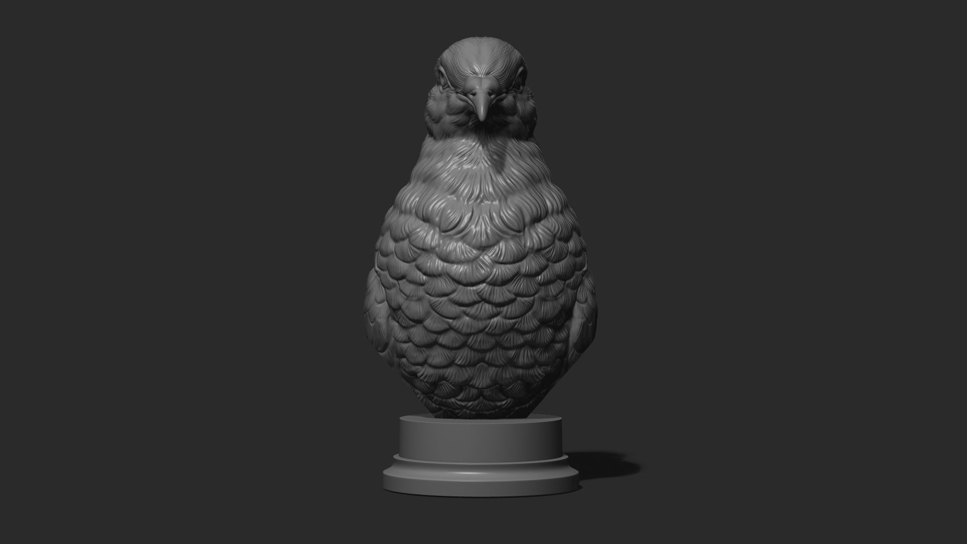 Pigeon bust 3D print model_18