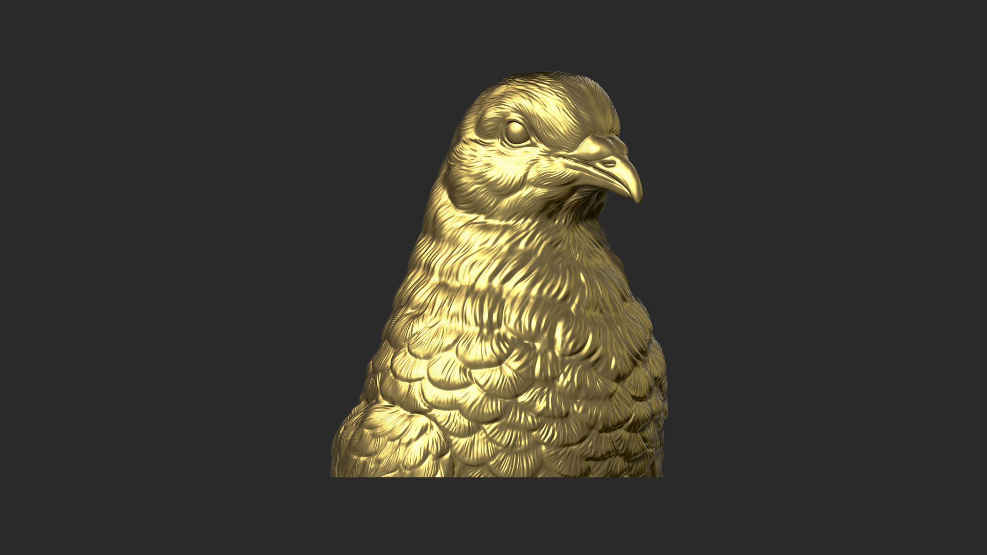 Pigeon bust 3D print model_3