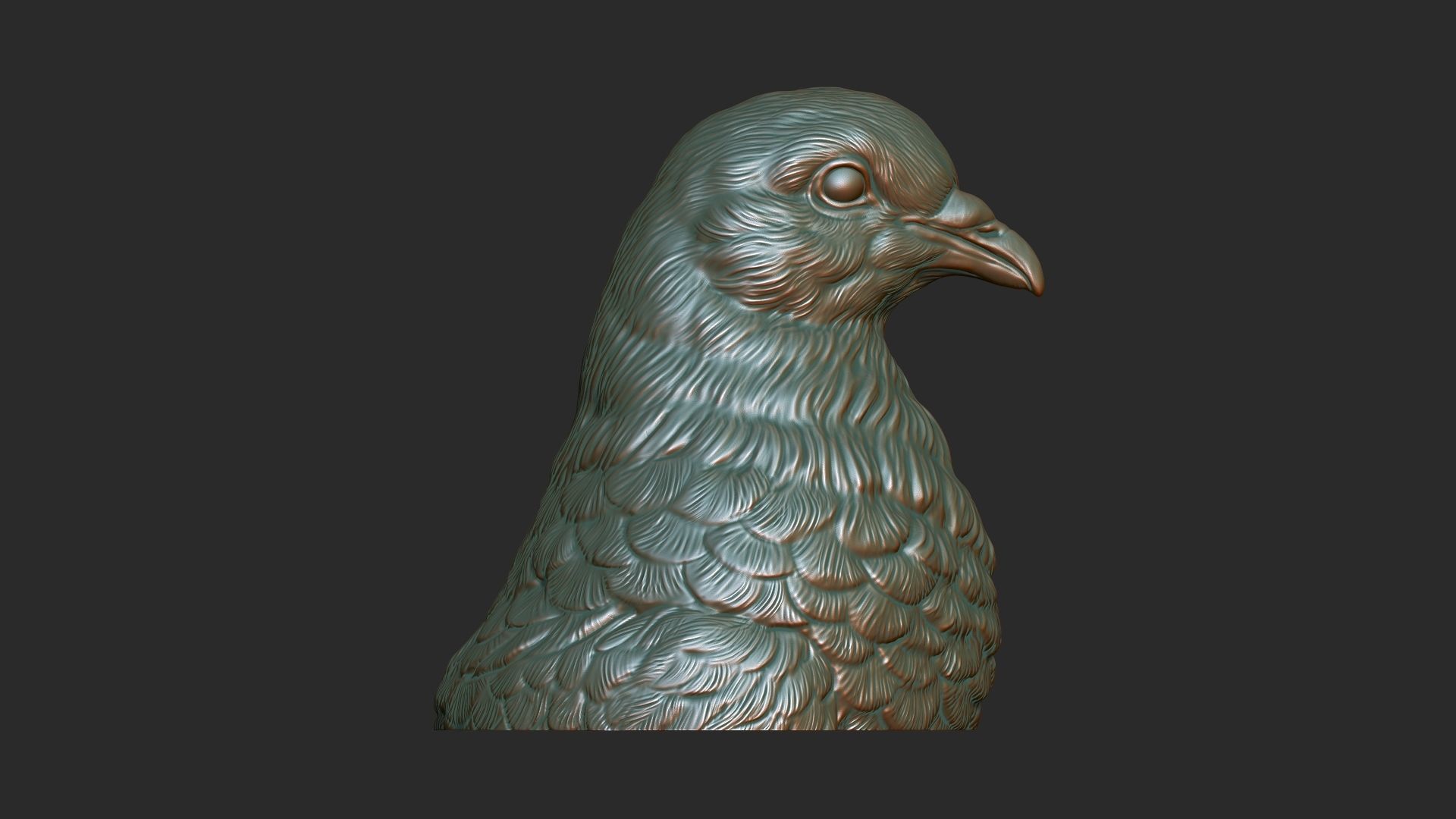 Pigeon bust 3D print model_1