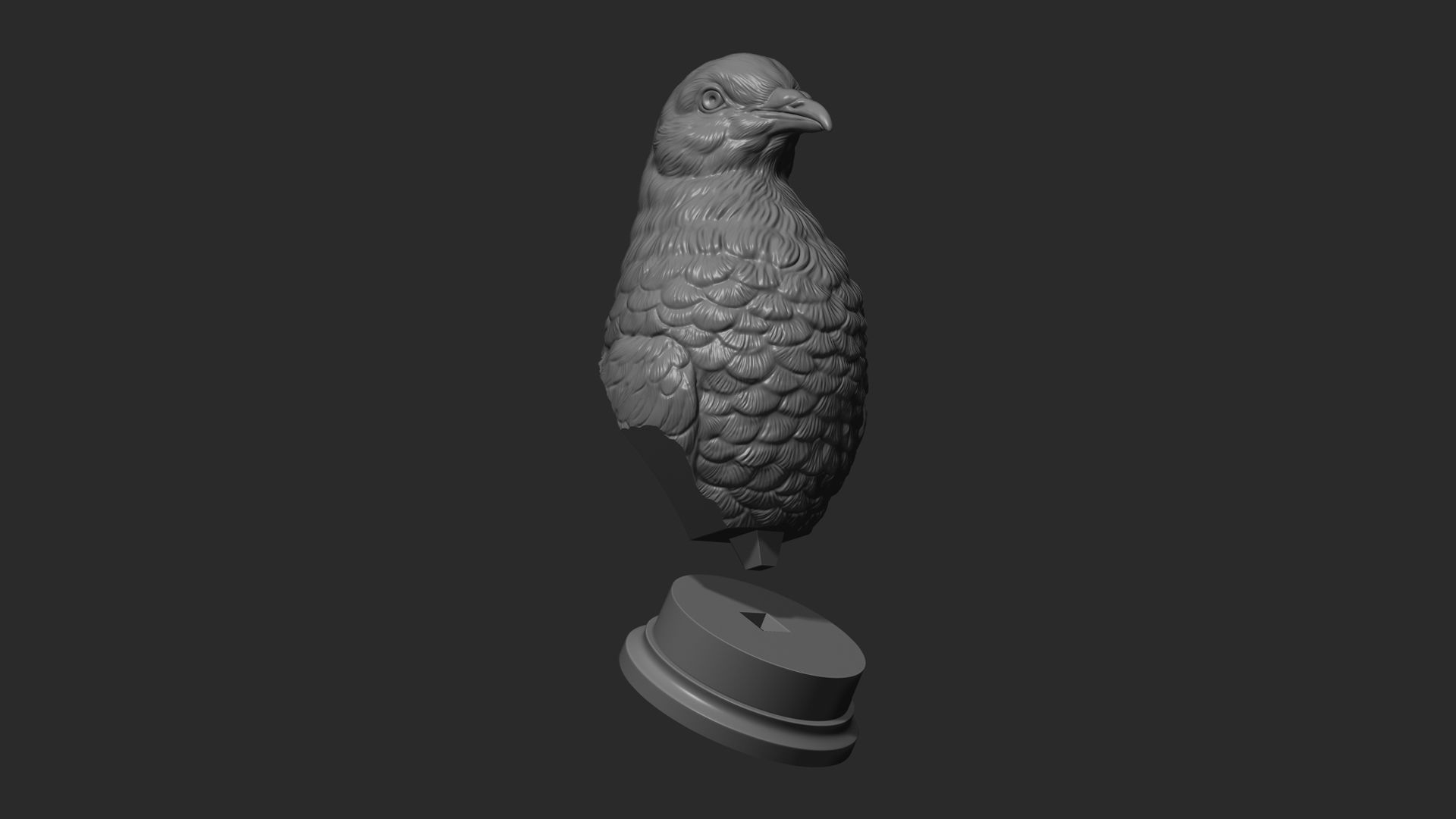 Pigeon bust 3D print model_21
