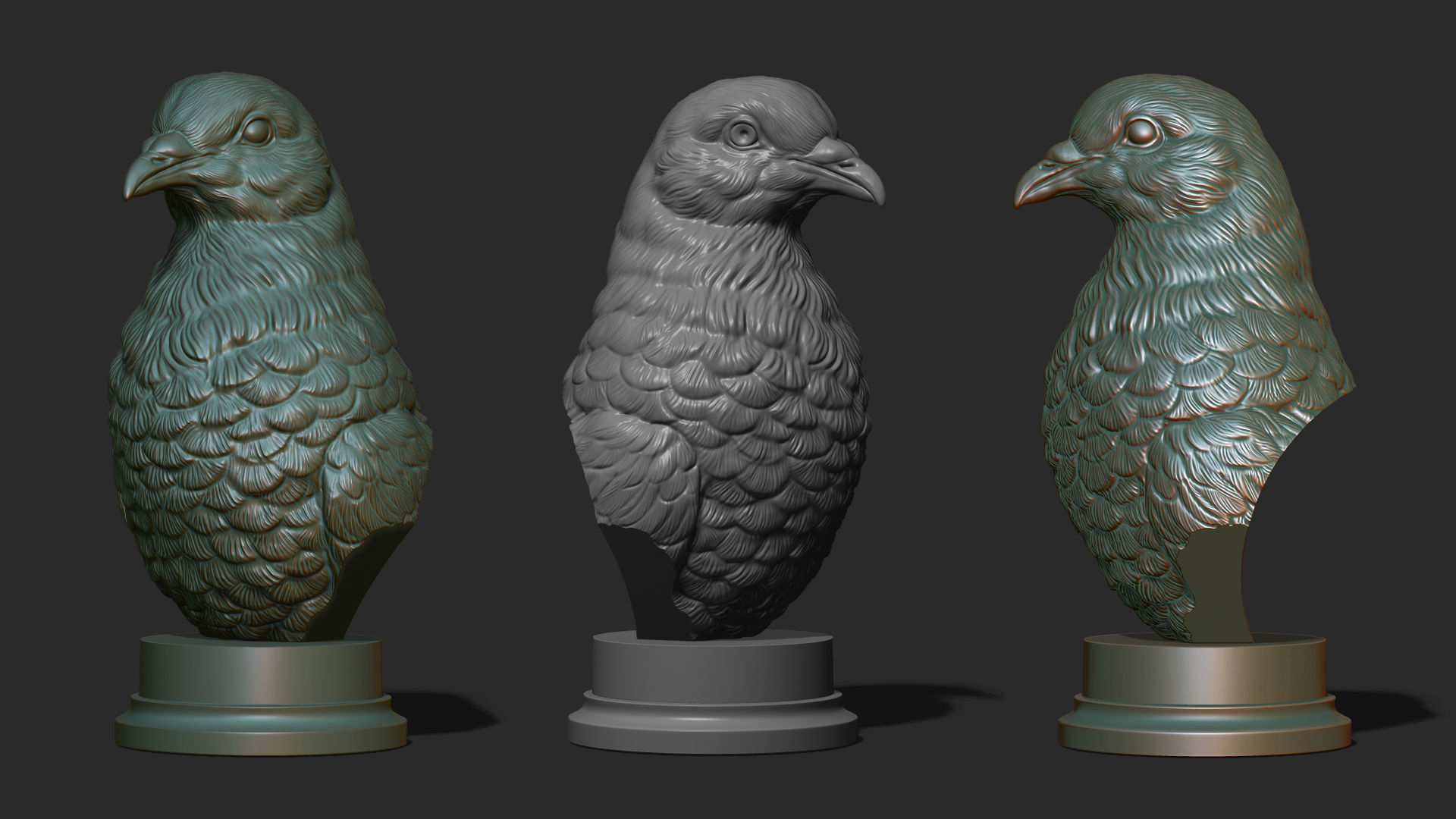 Pigeon bust 3D print model_16