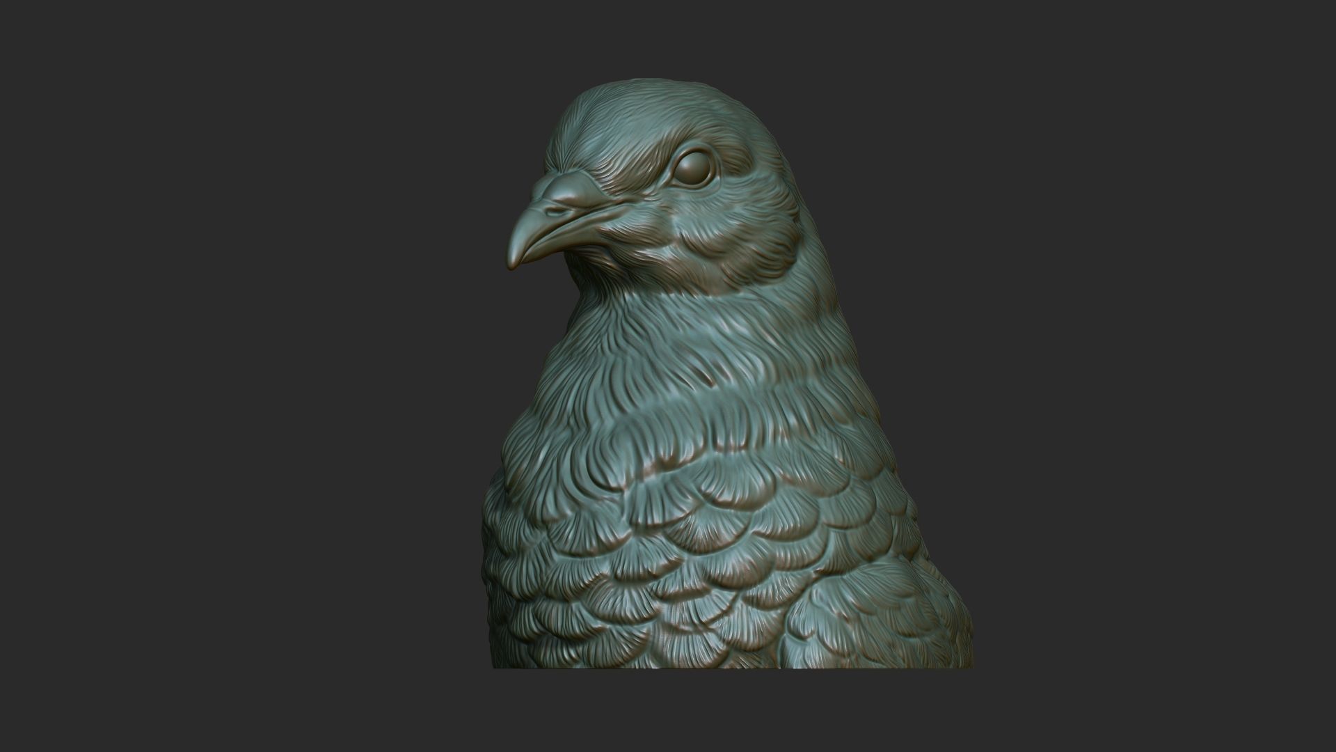 Pigeon bust 3D print model_2
