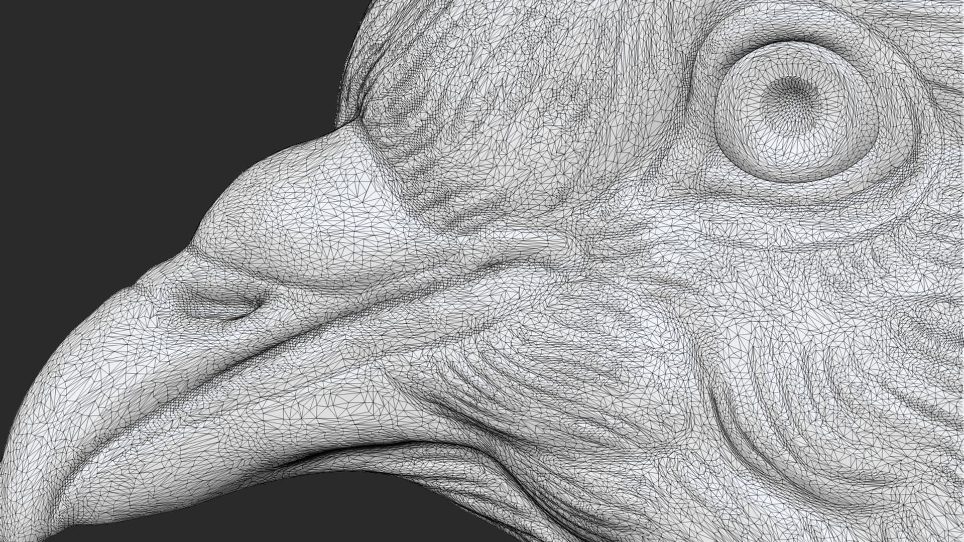Pigeon bust 3D print model_26