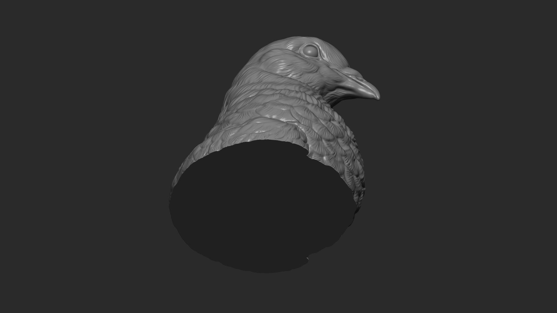 Pigeon bust 3D print model_6