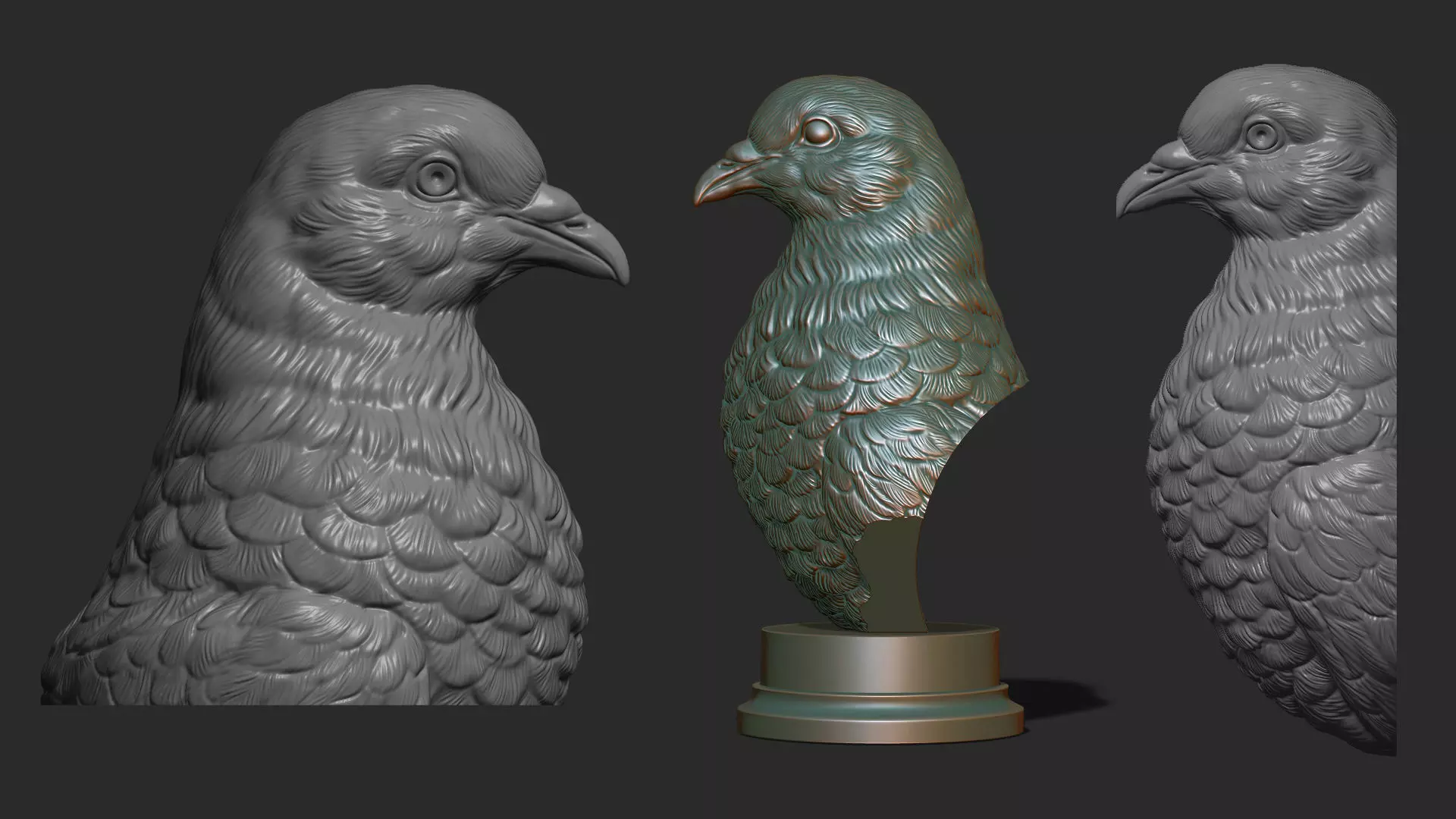 Pigeon bust 3D print model_0