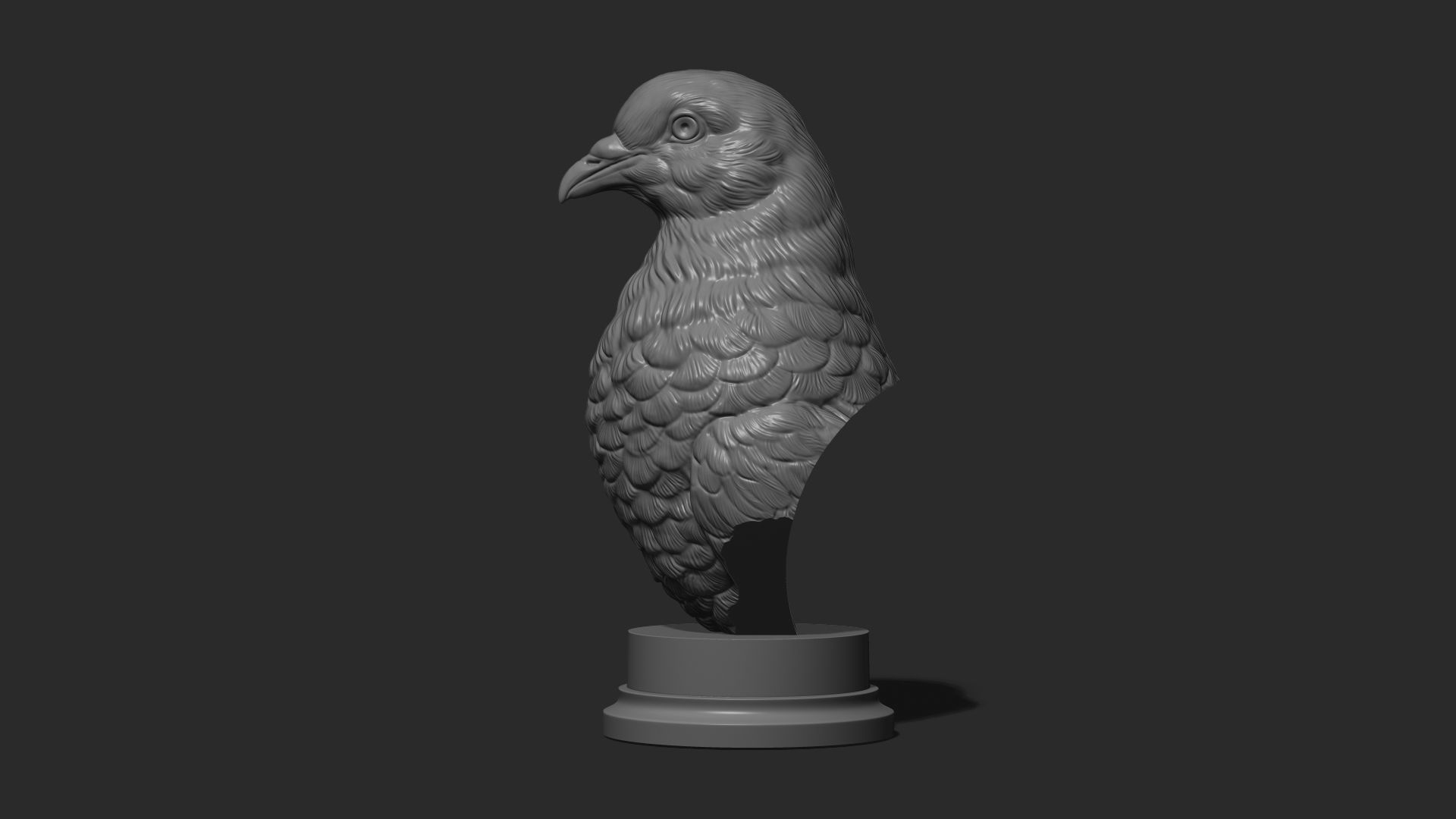 Pigeon bust 3D print model_19